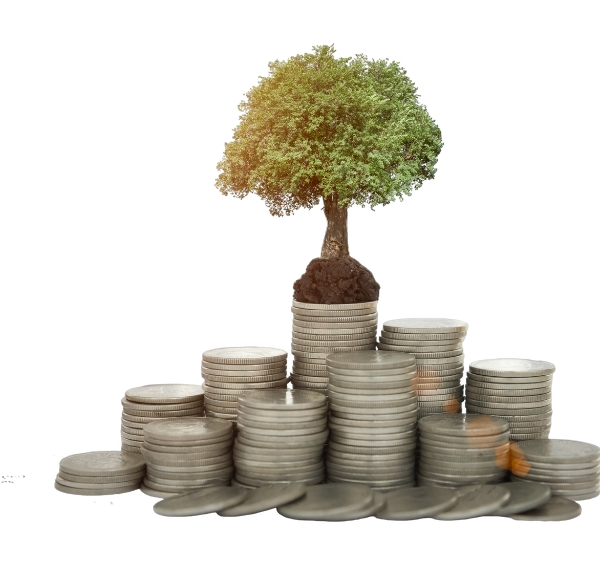 Fawzeyni Finance : Votre Partenaire en Finance Éthique et Responsable